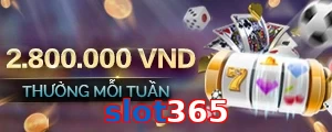 slot365